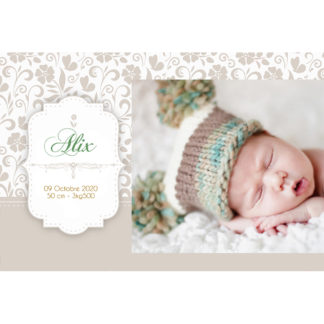 Faire-part magnet Alix
