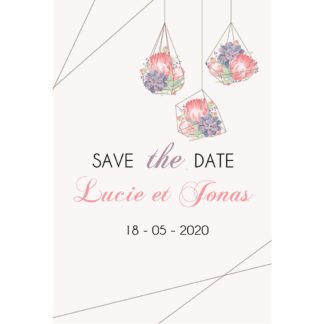 Save the date Lucie et Jonas